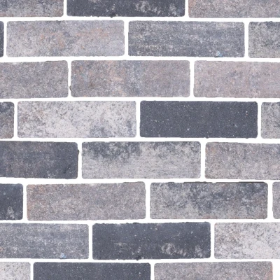 Afbeelding van Veerse waterpasserende eco bricks geimpregneerd 7x21x8 cm prijs per m2 Gardenlux