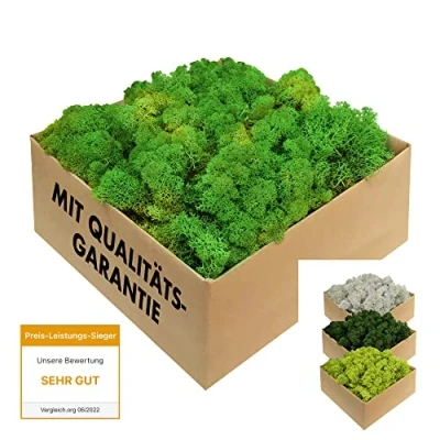 Afbeelding van GJS Gestabiliseerd schuim echt natuurlijk geconserveerd decoratief mos (kunstkorstmos) op verschillende manieren kleurrijk voor decoratie, modelbouw, terrarium, muur (500 g, groen