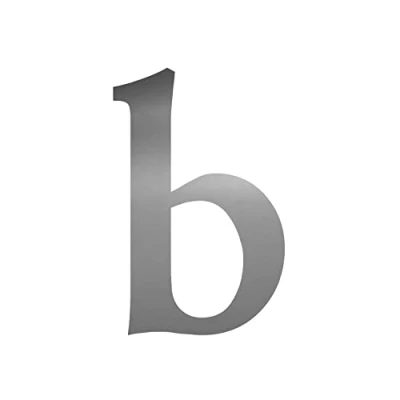Afbeelding van Lettersticker zilver Serifs hoogte 10 cm huisnummer sticker extra letter om op te plakken voor buiten, brievenbus, deur, weerbestendig