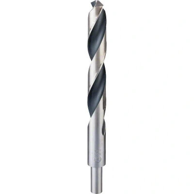 Afbeelding van Bosch Accessories 2608577314 Metaal spiraalboor 19 mm 1 stuk(s)
