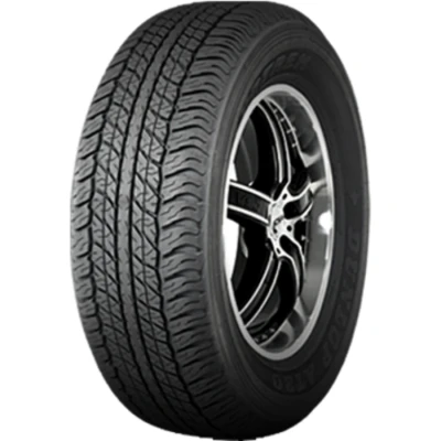 Image de Dunlop Grandtrek At20 245/70 R17 110S