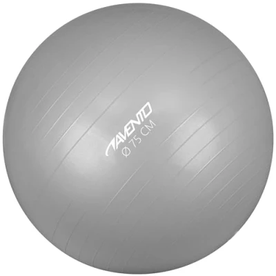 Afbeelding van Avento Fitness/Gymbal Ø 75 cm Zilver