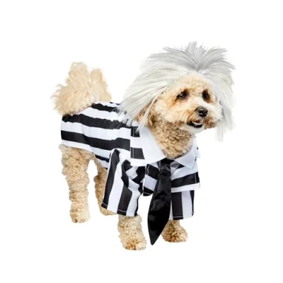 Afbeelding van Rubies Beetlejuice kostuum honden (maat S)