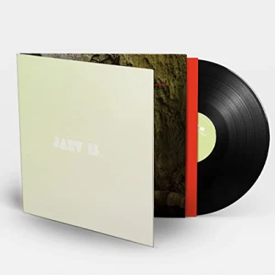Afbeelding van Jarv is... Beyond the Pale (LP)