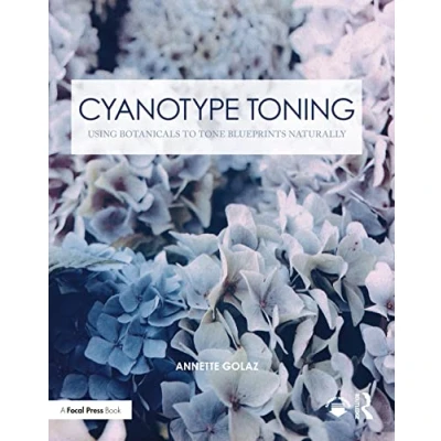 Afbeelding van Contemporary Practices in Alternative Process Photography Cyanotype Toning