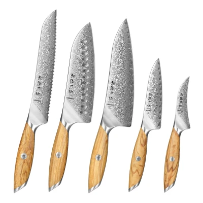 Afbeelding van Hezhen X01 Flagship Series Professionele Messenset (5 delig) Damascus staal (73 laags met poederstalen kern van 14Cr14MoVNb) Olijfhout Vlijmscherpe damastmessen Inclusief mooie geschenkdoos