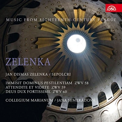 Afbeelding van Collegium Marianum Zelenka: Sepolcri (CD)