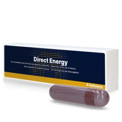 Afbeelding van Direct energie bolus