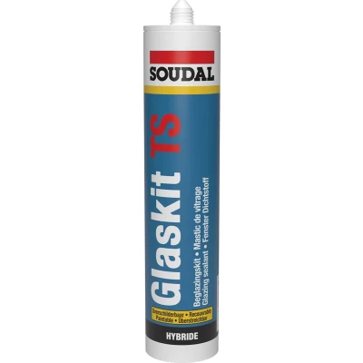 Afbeelding van Soudal Glaskit TS 290ml RAL 9010 (puur wit)
