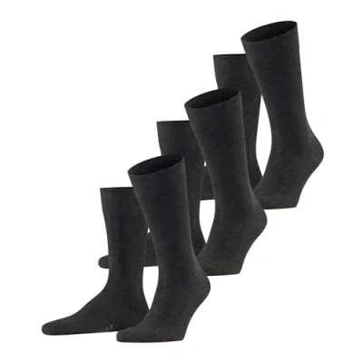 Afbeelding van Falke heren Family sokken in 3 pack de kleur Antraciet, maat: 39 42