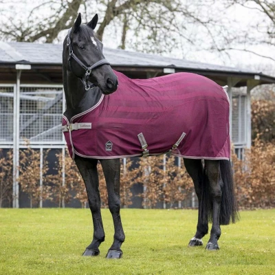 Afbeelding van LeMieux Zomerdeken Arika Air Tek Burgundy 155/205