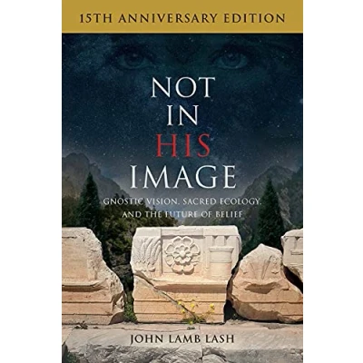 Afbeelding van Not in His Image (15th Anniversary Edition)