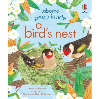 Image de Peep inside a bird&#039;s nest