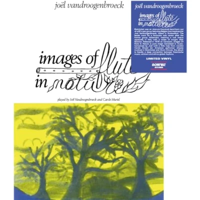 Afbeelding van Joel Vandroogenbroeck Images of Flute In Nature (LP)