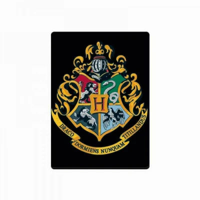 Afbeelding van Harry Potter Zweinstein School Metalen Magneet Zwart