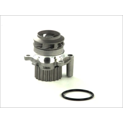 Afbeelding van THERMOTEC D1A023TT Waterpomp 19 Met pakking Mechanisch VOLKSWAGEN: Golf 4, 4 Variant, Caddy 2 Kastenwagen, SKODA: Octavia I Hatchback