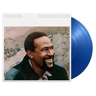 Afbeelding van Dream Of A Lifetime (Transparent Blue Vinyl)