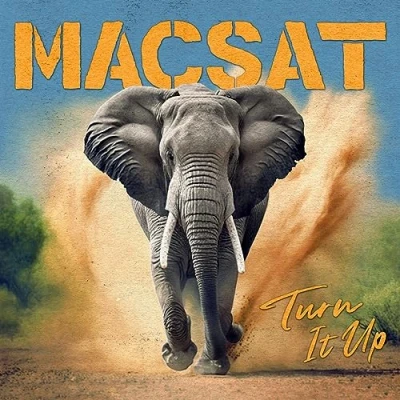 Afbeelding van Macsat Turn It Up (LP)