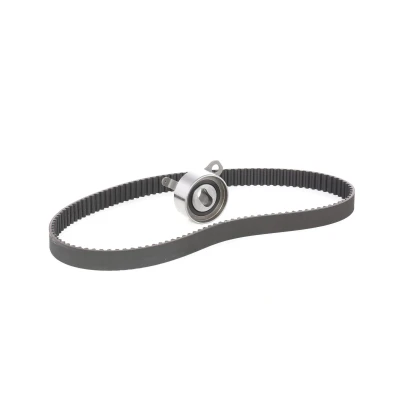 Afbeelding van Ina Distributieriem kit 530 0266 10