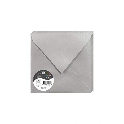 Image de Paquet de 20 enveloppes Pollen 165x165mm Argent 120g