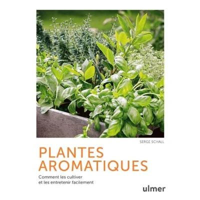 Image de Plantes aromatiques Comment les cultiver et entretenir facilement