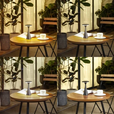 Afbeelding van Lindby Terraslampen met dimmer 1licht Kunststof H: 19.7 cm zwart Inclusief lichtbron