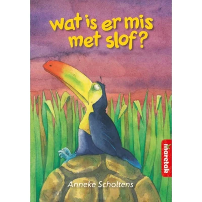 Afbeelding van Boemerang Wat is er mis met Slof?