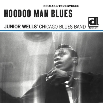Afbeelding van Junior Wells Hoodoo Man Blues (2 LP)