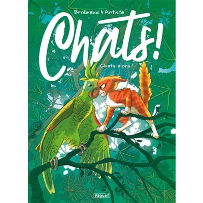 Image de Chats t6