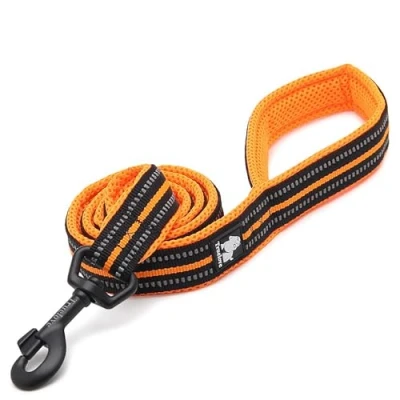 Afbeelding van Truelove Hondenriem Oranje M 200cm