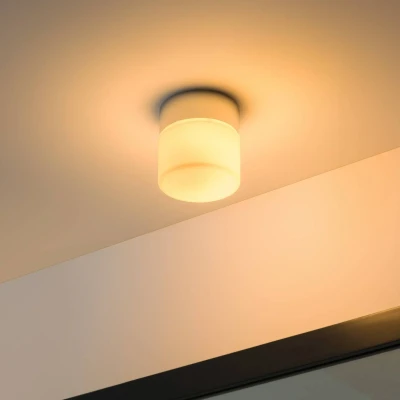 Afbeelding van Arcchio Plafondlamp badkamer 1licht glas, metaal H: 11 cm wit, chroom Inclusief lichtbron