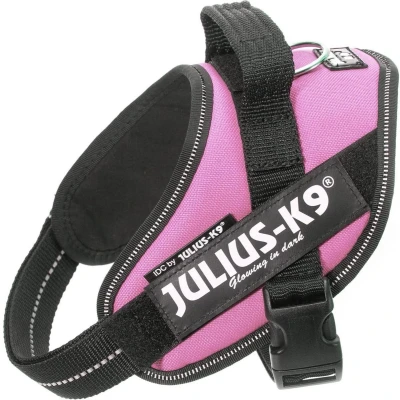 Afbeelding van WERELD BEKENDE JULIUS K9 IDC POWERTUIG VOOR TEKSTLABELS ROZE MAAT: MINI
