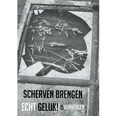 Afbeelding van Scherven brengen echt geluk!