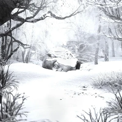 Afbeelding van Weezer Sznz: Winter (LP)