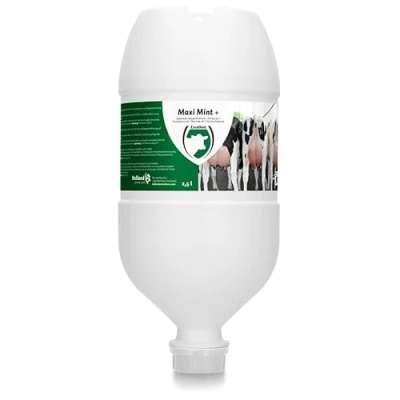 Afbeelding van Maxi Mint Plus Hangtube