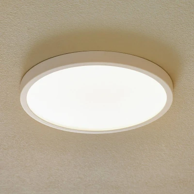 Afbeelding van Vika eenvoudige LED plafondlamp, 30 cm