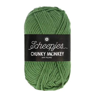 Afbeelding van Scheepjes Chunky Monkey 100g 1824 Pickle Groen