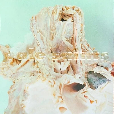 Afbeelding van Pale Saints In Ribbons (2 LPs)