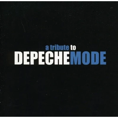 Afbeelding van Various (Depeche Mode Tribute) Re:Covered (2 CD)