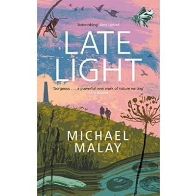 Afbeelding van Late Light