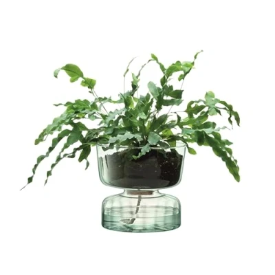 Afbeelding van L.S.A. Canopy Self Watering Vaas 22 cm