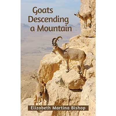 Afbeelding van Goats Descending a Mountain