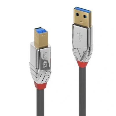 Image de Lindy CROMO Câble USB Type A (M) pour B 3.1 2 m rond gris