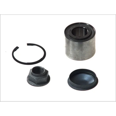Afbeelding van SNR R155.89 Wiellagerset 62 RENAULT: CLIO 3, 2, Thalia 1