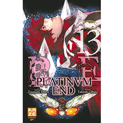 Afbeelding van PLATINUM END T13