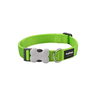 Afbeelding van Animal Boulevard Dc zz lg 25 Hals En Leibanden Hond Rd Halsband Limoen Groen L 25mmx41 63cm Maat: