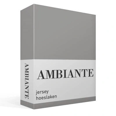 Afbeelding van Ambiante jersey hoeslaken Lits jumeaux (200x200/210 cm) Grijs
