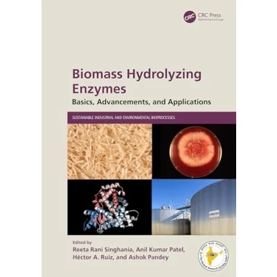 Afbeelding van Sustainable Industrial and Environmental Bioprocesses Biomass Hydrolyzing Enzymes
