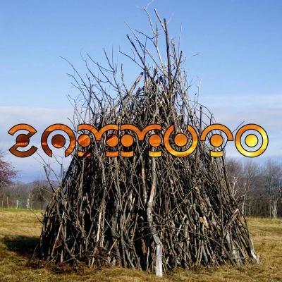 Afbeelding van Zammuto (LP)