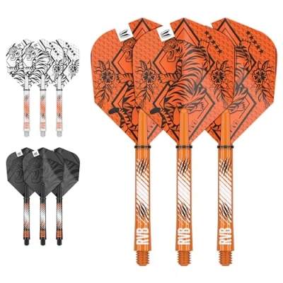 Afbeelding van Target Raymond van Barneveld Ink Flight Shaft Kit Dart Flights